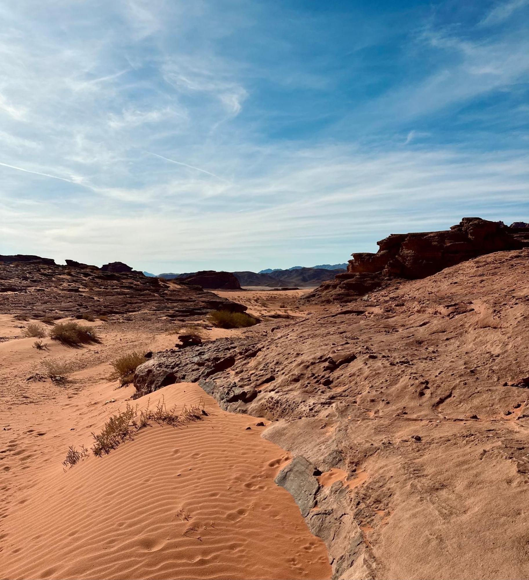 Salameh'S Bedouin Camp Hotel Wadi Rum Exterior photo
