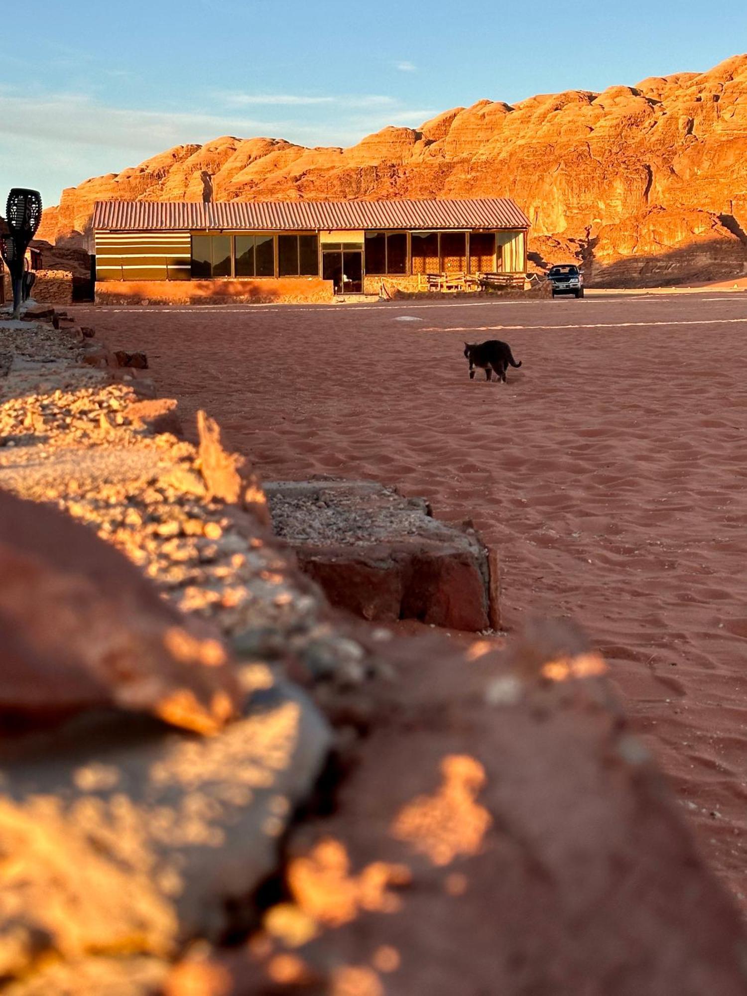 Salameh'S Bedouin Camp Hotel Wadi Rum Exterior photo